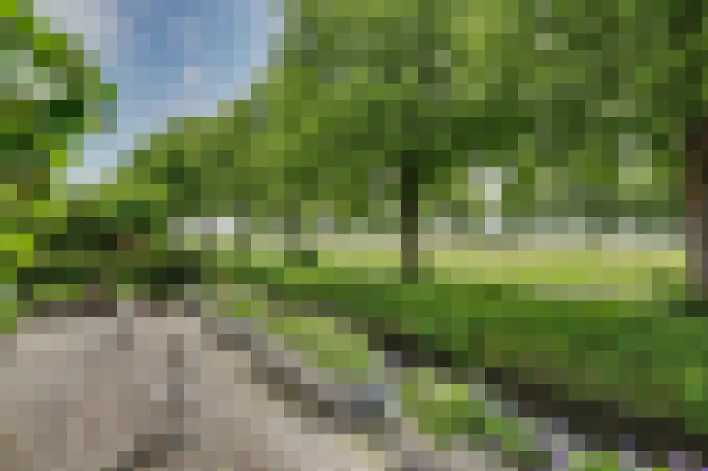 de Heul 55 Maasdam thumbnail 9