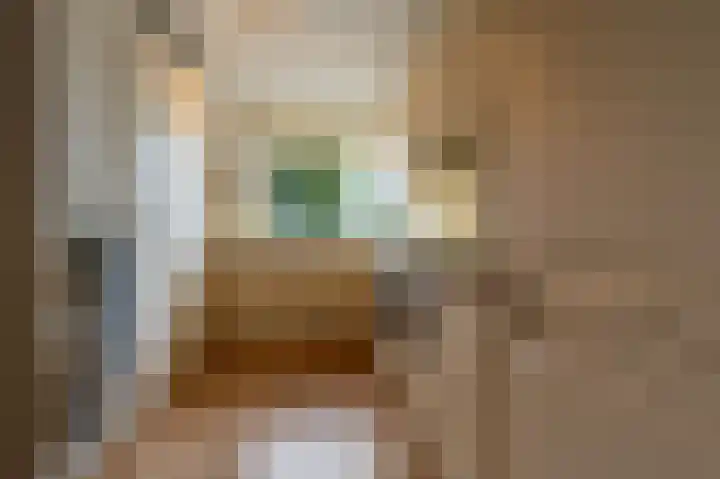 de Heul 59 Maasdam thumbnail 11