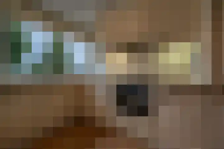 de Heul 59 Maasdam thumbnail 12