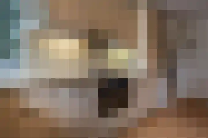 de Heul 59 Maasdam thumbnail 13