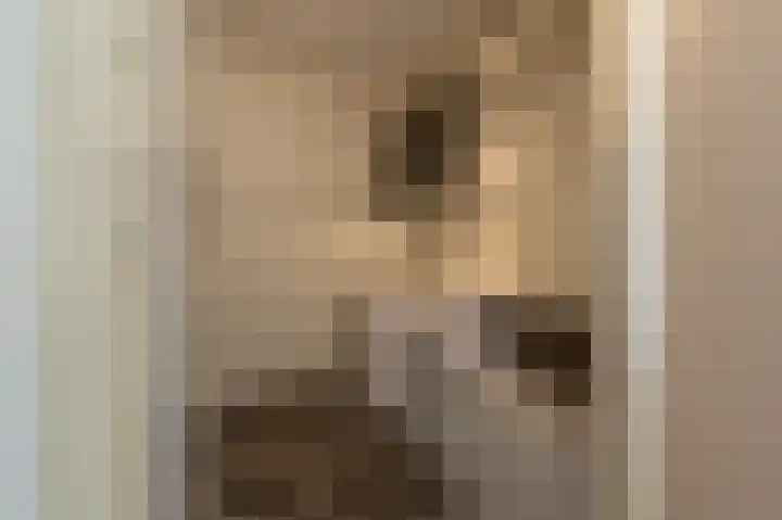 de Heul 59 Maasdam thumbnail 14