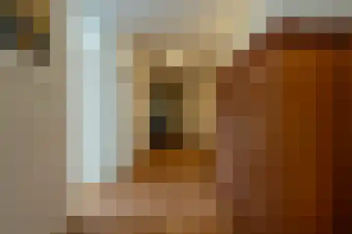 de Heul 59 Maasdam thumbnail 15