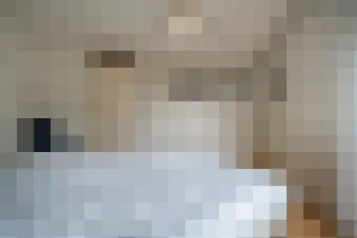 de Heul 59 Maasdam thumbnail 17