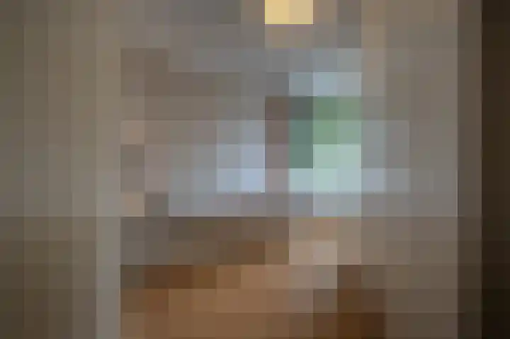 de Heul 59 Maasdam thumbnail 18
