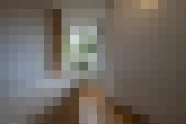 de Heul 59 Maasdam thumbnail 19