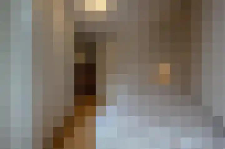 de Heul 59 Maasdam thumbnail 20
