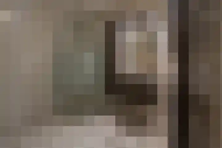 de Heul 59 Maasdam thumbnail 21