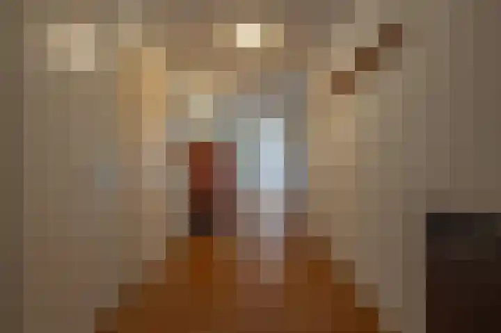 de Heul 59 Maasdam thumbnail 24