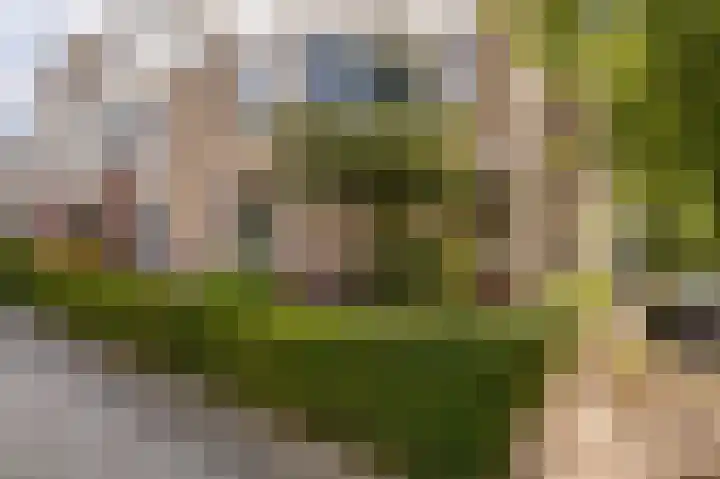 de Heul 59 Maasdam thumbnail 26