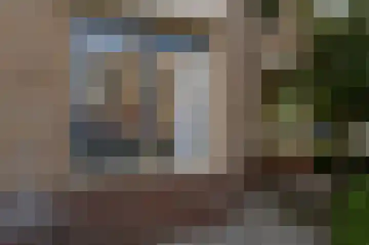 de Heul 59 Maasdam thumbnail 27