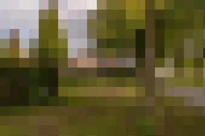 de Heul 59 Maasdam thumbnail 28