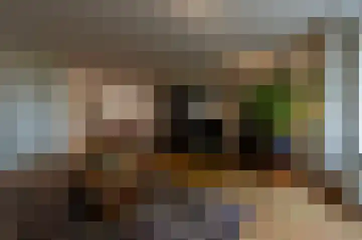 de Heul 59 Maasdam thumbnail 5