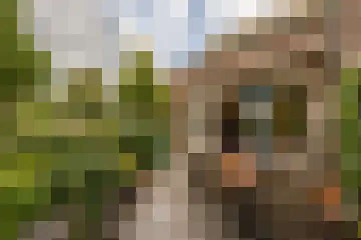 de Heul 59 Maasdam thumbnail 6
