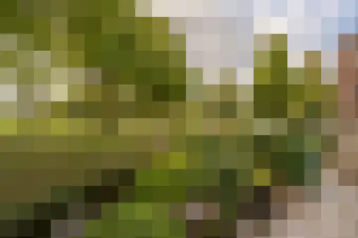 de Heul 59 Maasdam thumbnail 7
