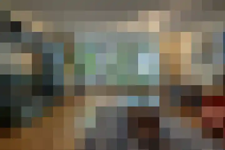 de Heul 59 Maasdam thumbnail 8