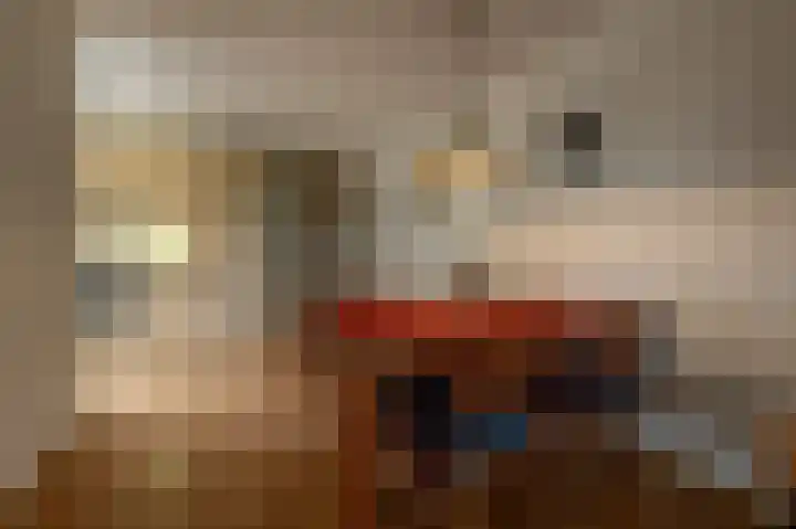 de Heul 59 Maasdam thumbnail 9