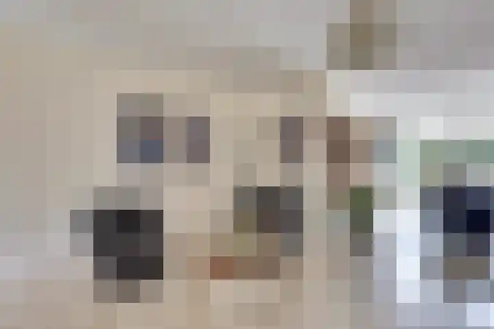 de Heul 8 Maasdam thumbnail 12