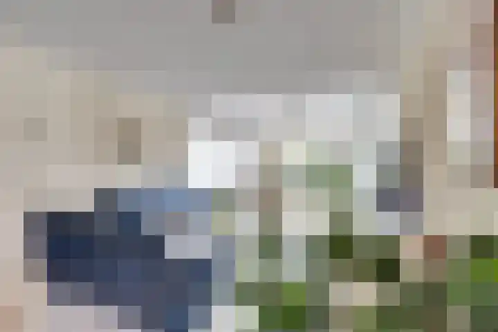de Heul 8 Maasdam thumbnail 13