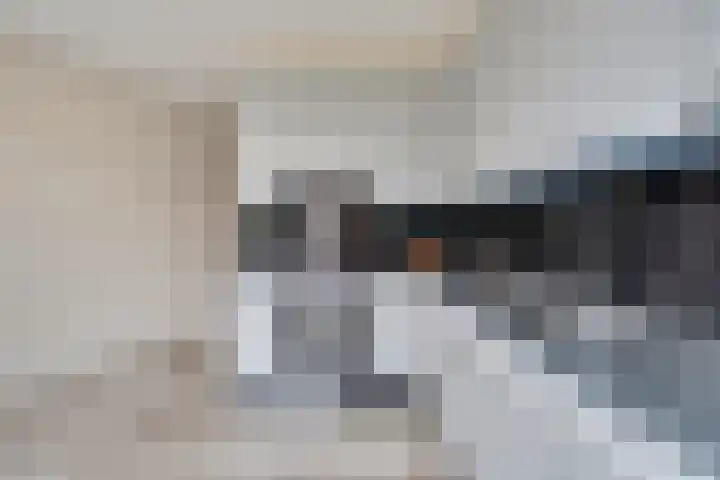 de Heul 8 Maasdam thumbnail 16