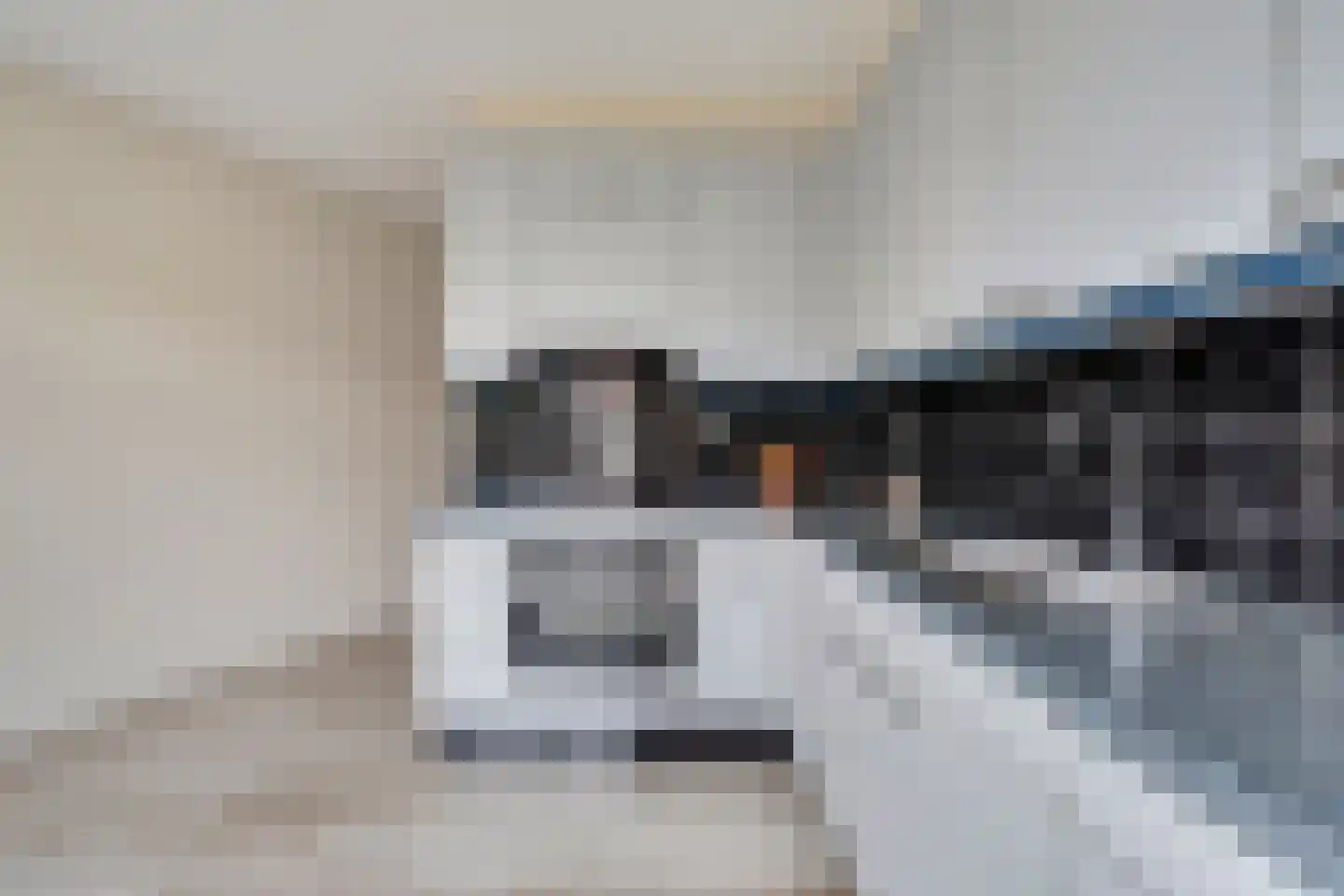 de Heul 8 Maasdam thumbnail 16