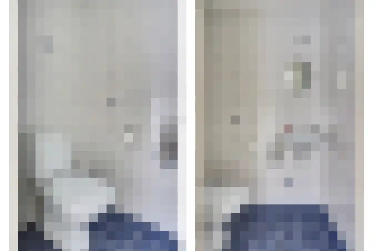 de Heul 8 Maasdam thumbnail 17