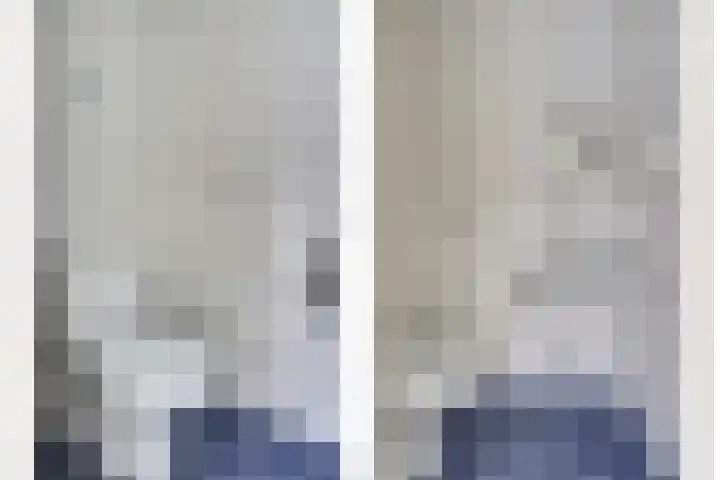 de Heul 8 Maasdam thumbnail 17