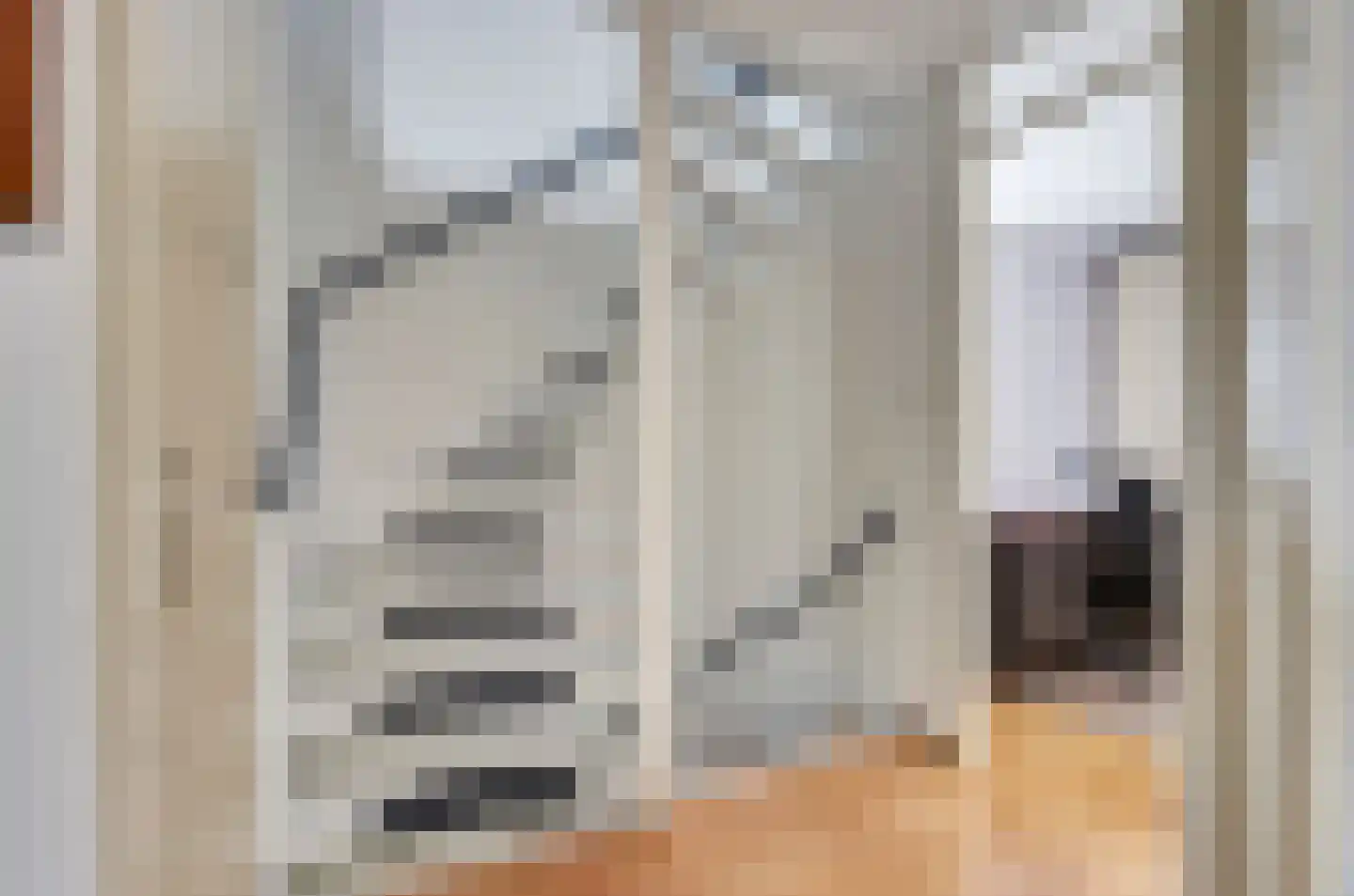 de Heul 8 Maasdam thumbnail 18