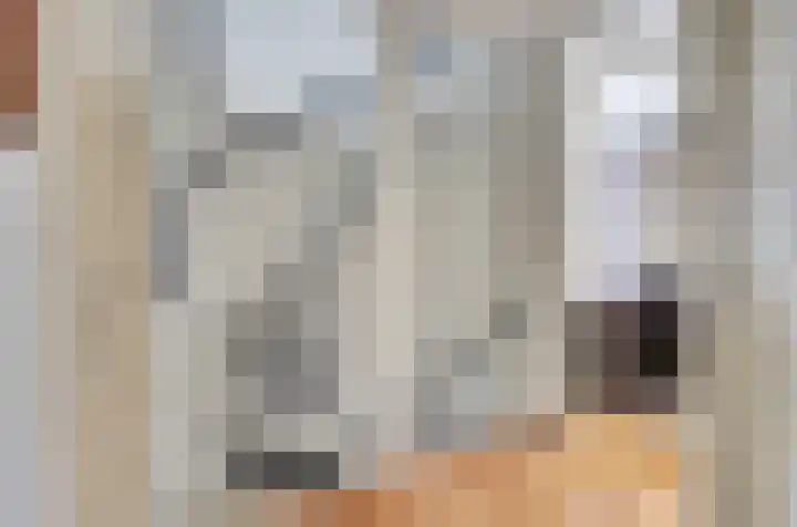 de Heul 8 Maasdam thumbnail 18
