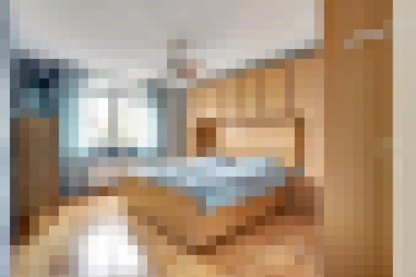 de Heul 8 Maasdam thumbnail 19