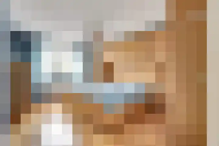 de Heul 8 Maasdam thumbnail 19