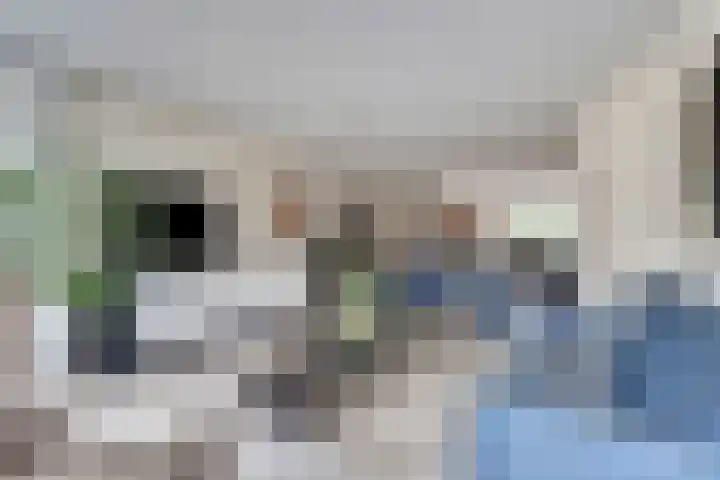 de Heul 8 Maasdam foto 2