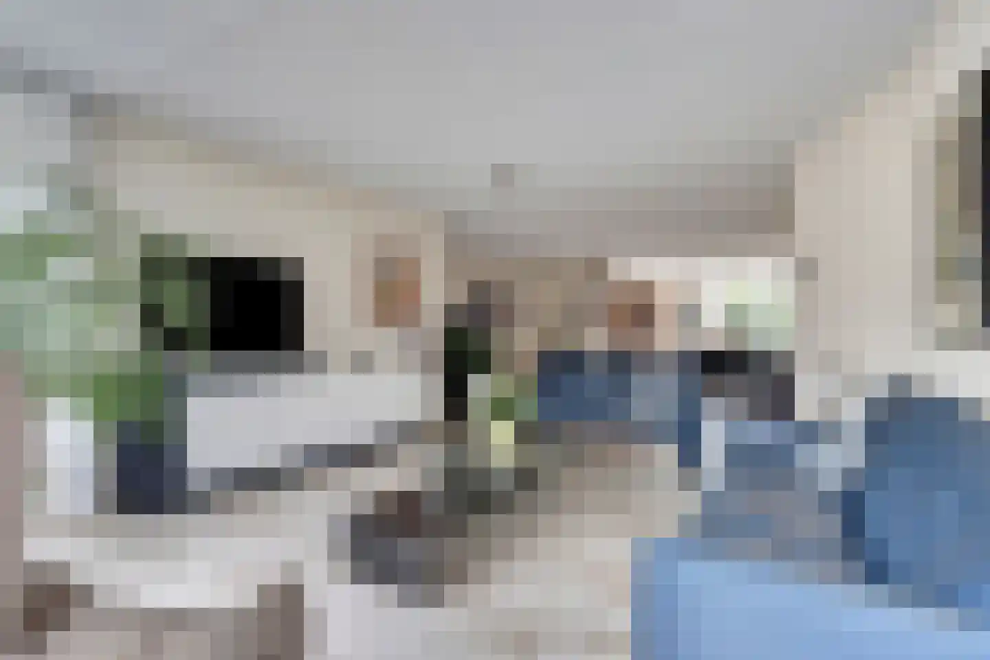 de Heul 8 Maasdam foto 2