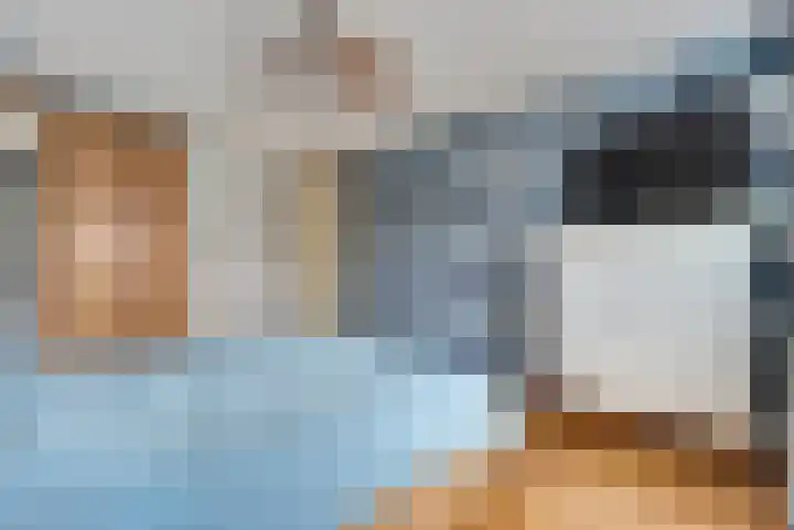 de Heul 8 Maasdam thumbnail 20
