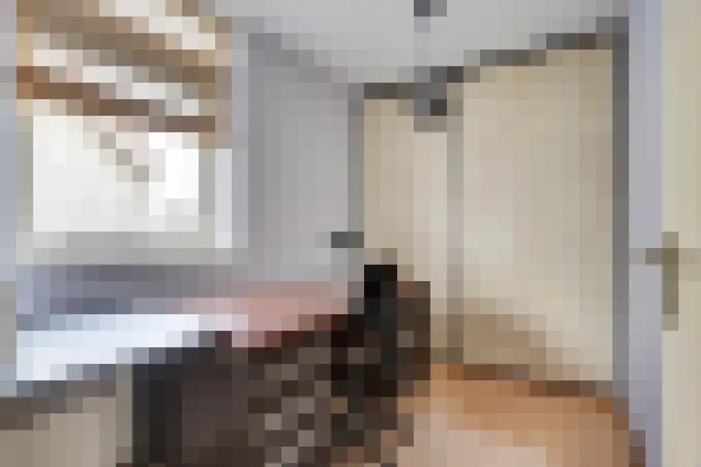 de Heul 8 Maasdam thumbnail 21
