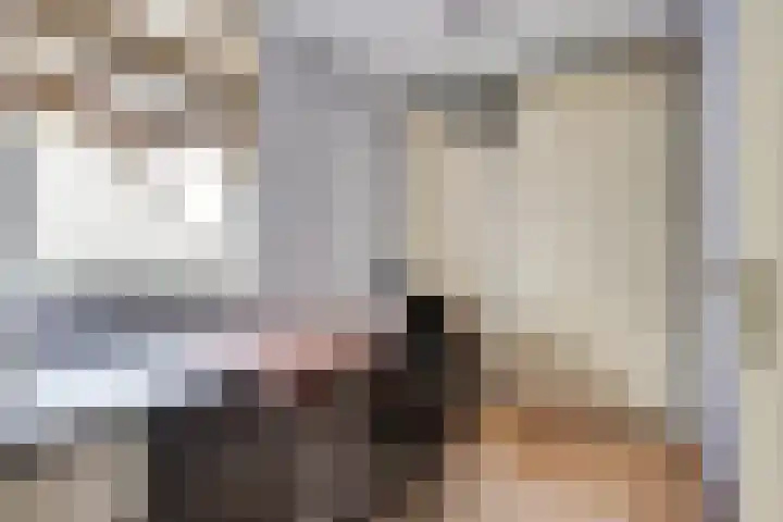 de Heul 8 Maasdam thumbnail 21