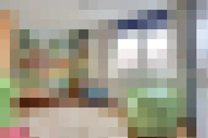 de Heul 8 Maasdam thumbnail 22