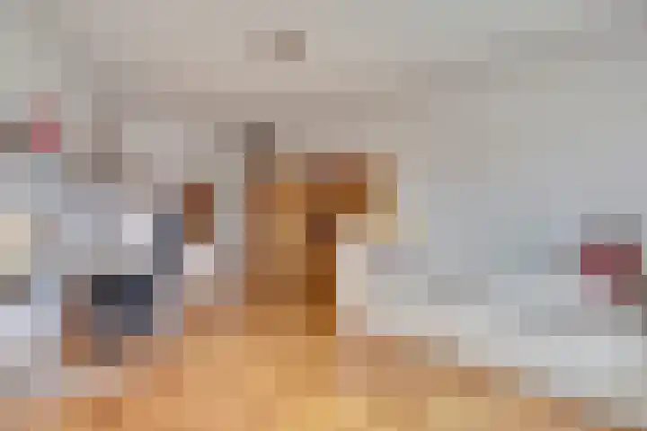 de Heul 8 Maasdam thumbnail 25