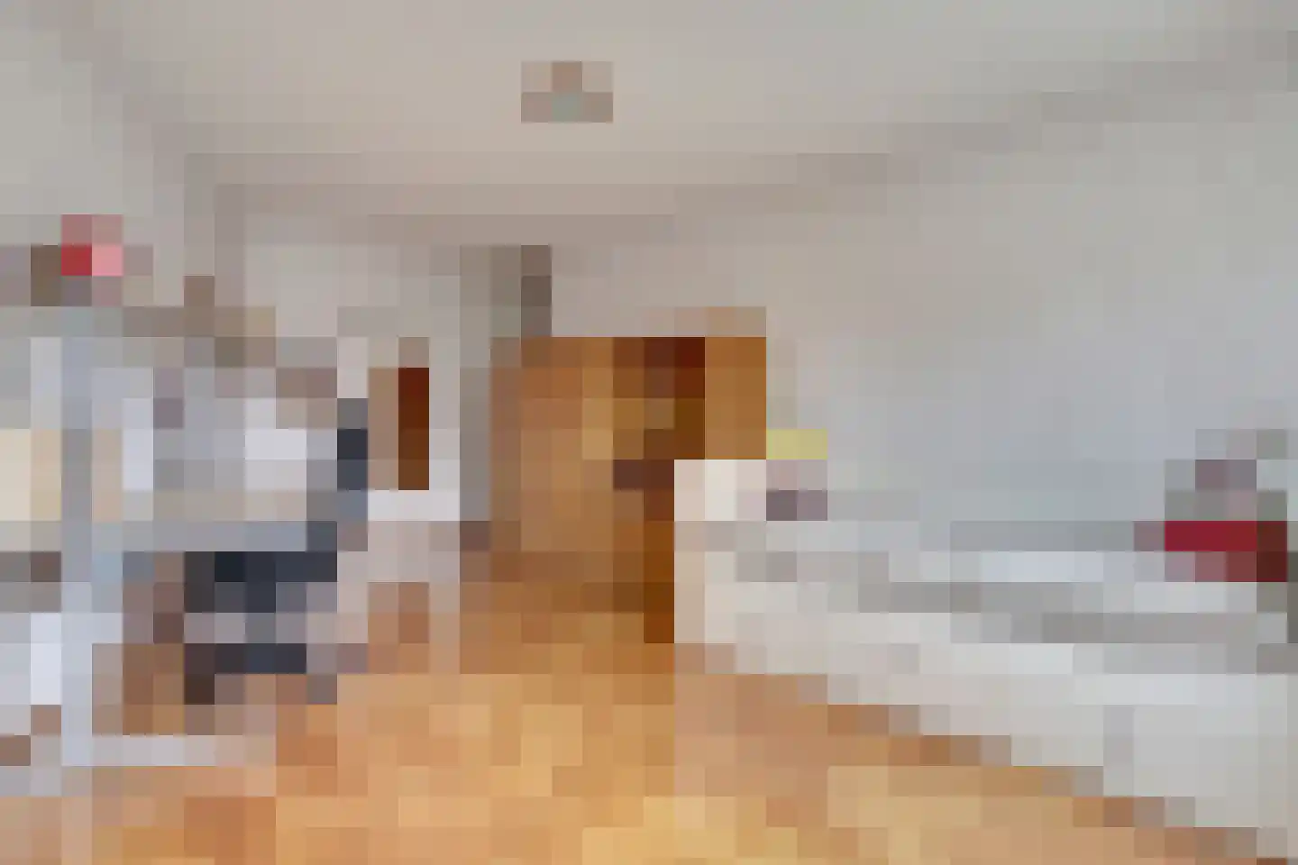 de Heul 8 Maasdam thumbnail 25