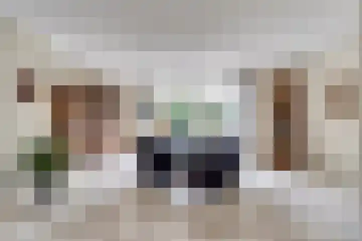 de Heul 8 Maasdam foto 3