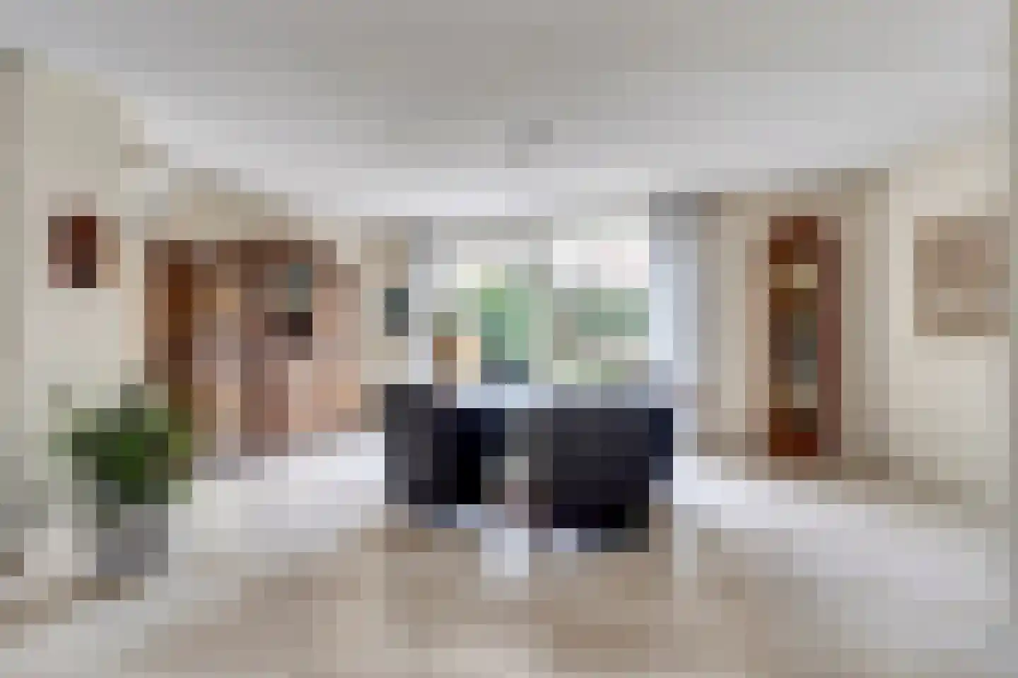de Heul 8 Maasdam foto 3
