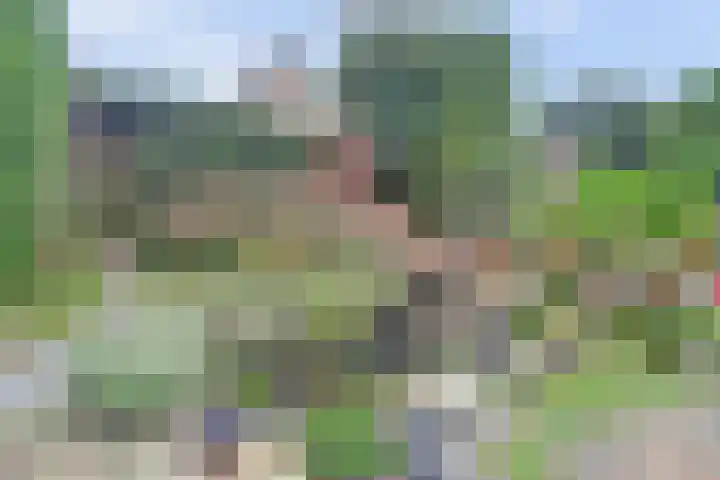 de Heul 8 Maasdam thumbnail 30