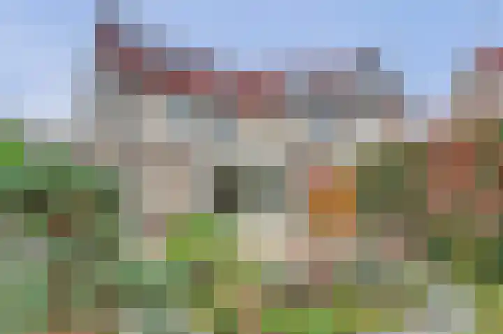 de Heul 8 Maasdam thumbnail 31