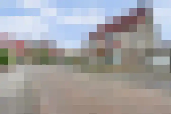 de Heul 8 Maasdam thumbnail 34