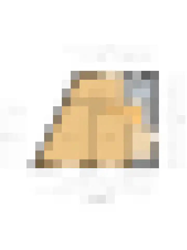 de Heul 8 Maasdam thumbnail 36
