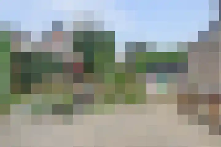 de Heul 8 Maasdam thumbnail 4