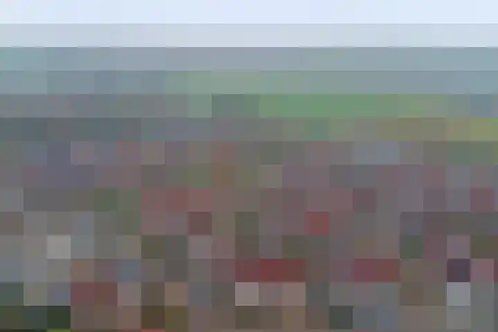 de Heul 8 Maasdam thumbnail 5