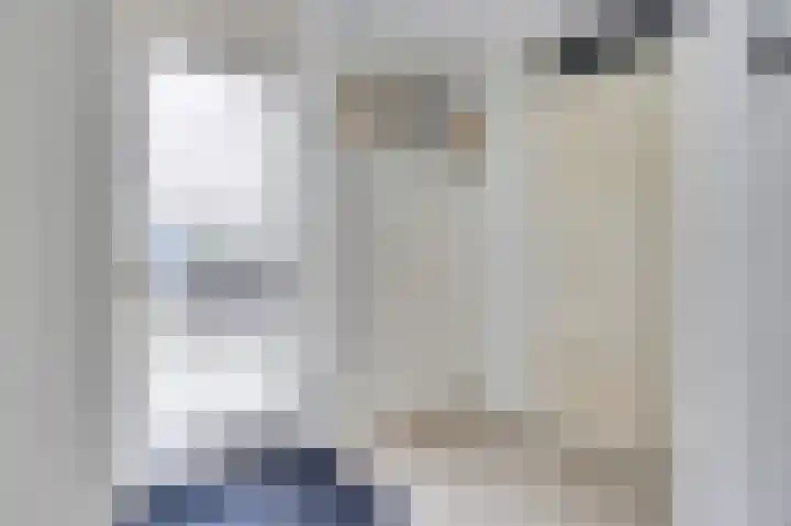 de Heul 8 Maasdam thumbnail 6