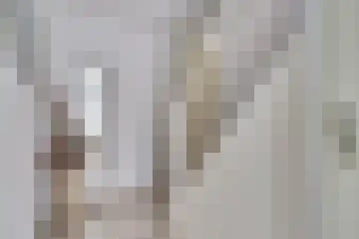 de Heul 8 Maasdam thumbnail 7