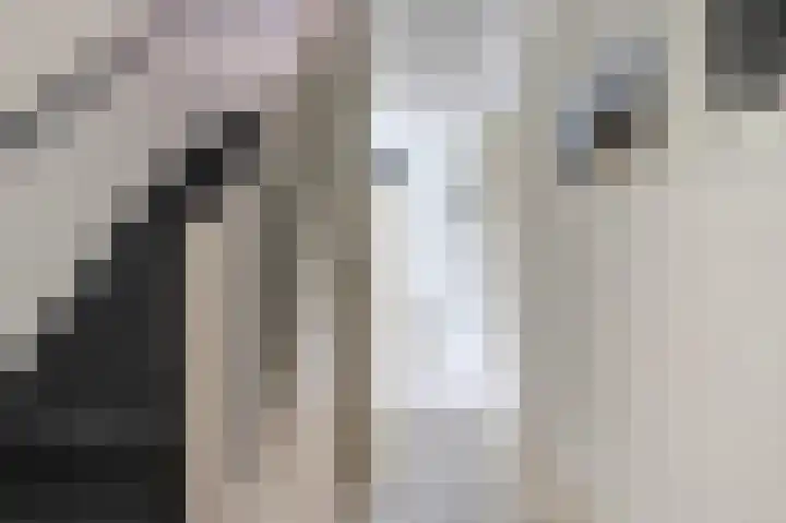de Heul 8 Maasdam thumbnail 8