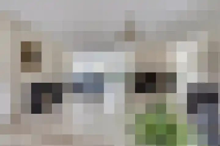 de Heul 8 Maasdam thumbnail 9